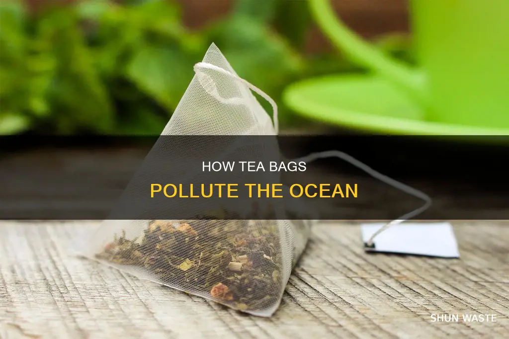 does tea pollute the ocean