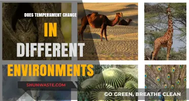 Can Your Temperament Adapt: Environment's Impact on Personality Shifts