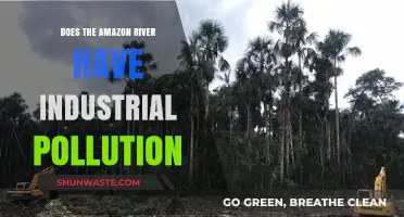Amazon River: Industrial Pollution Threat?