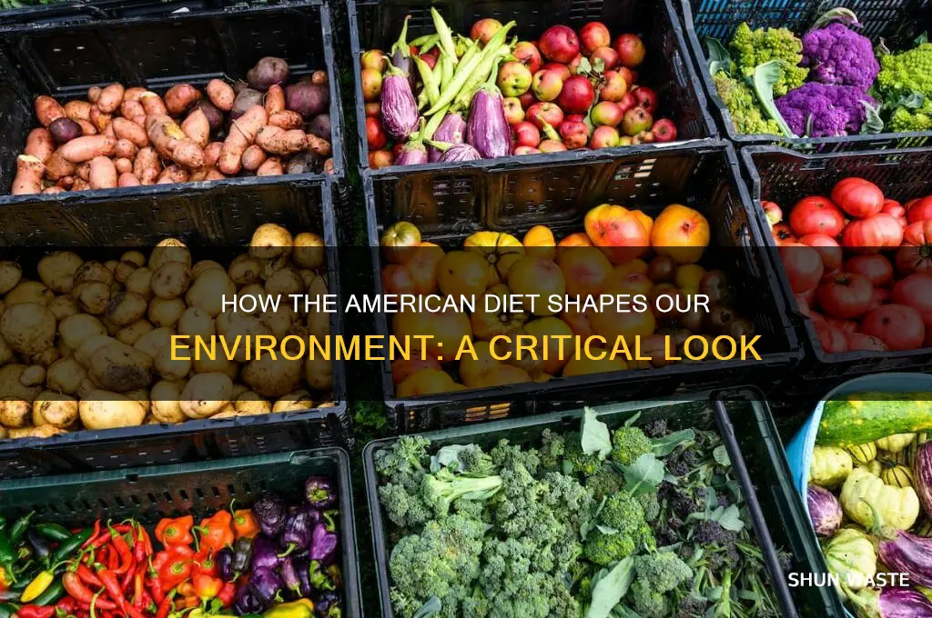 does the american diet impact the environment