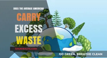 Excess Waste in America: Uncovering the Average American's Environmental Footprint