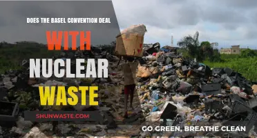 Basel Convention and Nuclear Waste: Scope, Limitations, and Global Implications