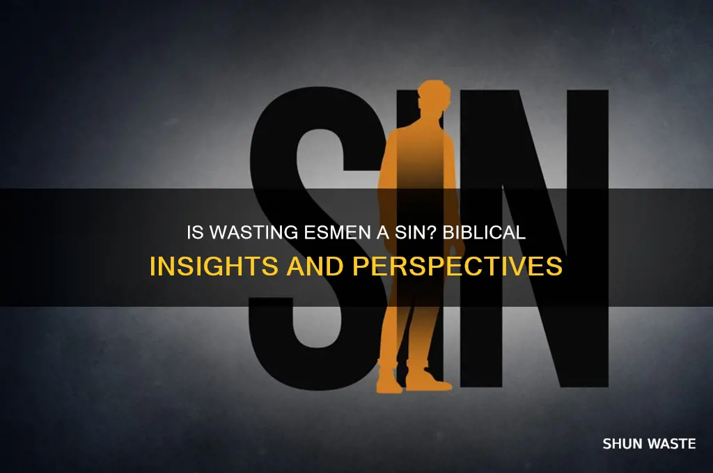 does the bible say its a sin to waste esmen