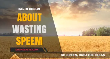 Biblical Perspectives on Wasting Seed: Exploring Scripture's Teachings and Interpretations