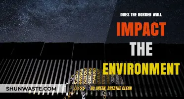 Border Wall's Environmental Impact: A Comprehensive Analysis of Ecosystem Disruption