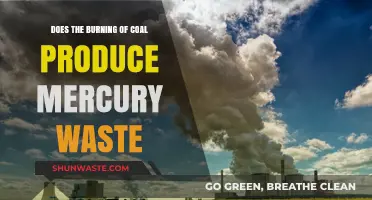 Coal Combustion and Mercury: Uncovering the Toxic Waste Connection