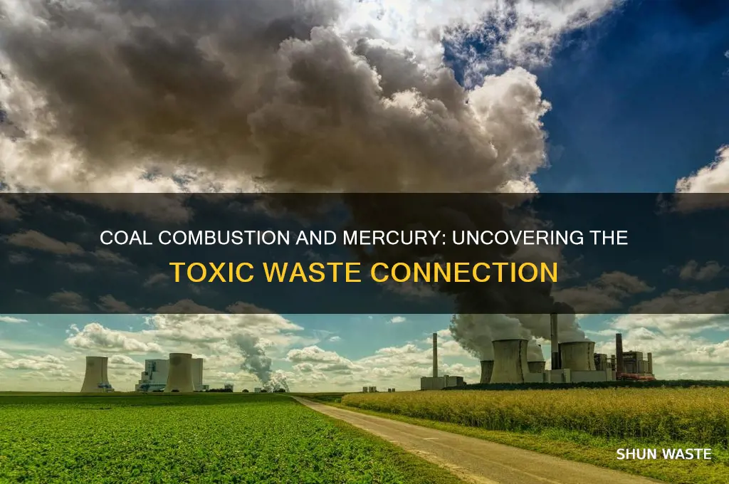 does the burning of coal produce mercury waste