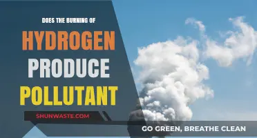 Hydrogen Burning: Clean Energy or Polluting Nightmare?
