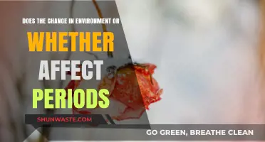 Environmental Shifts and Weather Patterns: Impact on Menstrual Cycles Explored