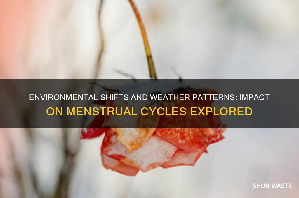 does the change in environment or whether affect periods