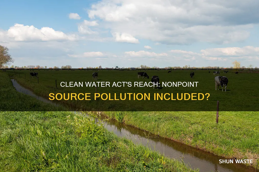 does the clean water act include nonpoint source pollution