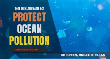 Clean Water Act: Ocean Pollution Guardian or Looser?