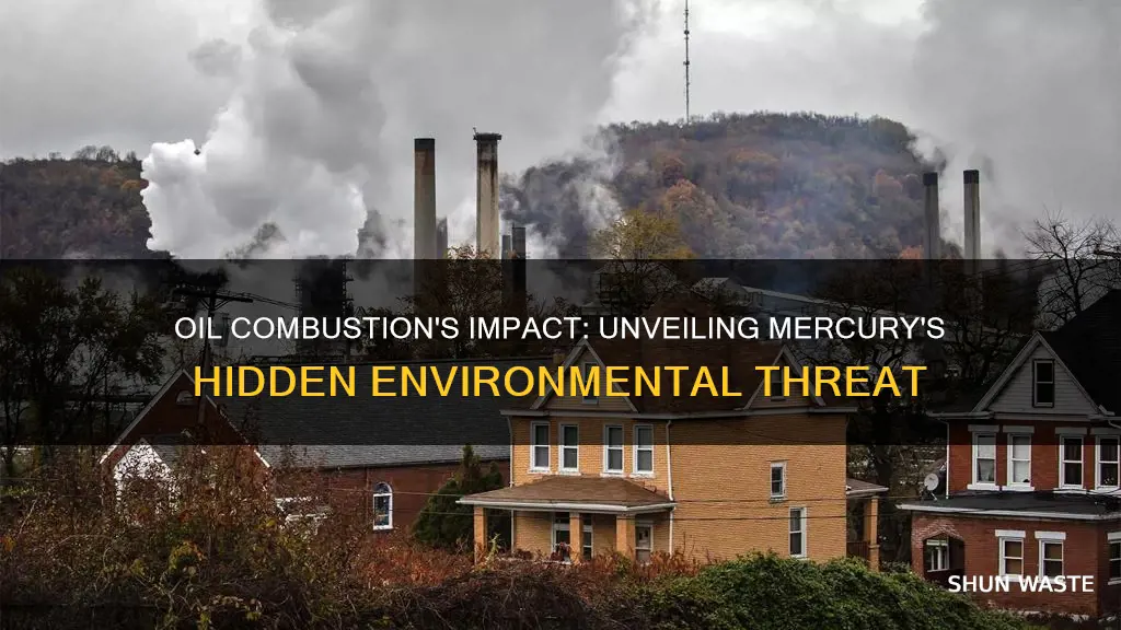 does the combustion of oil cause mercury pollution