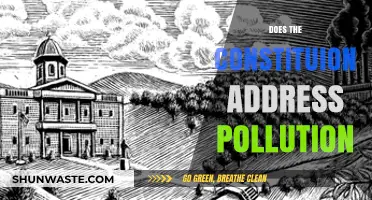 The Constitution's Take on Pollution
