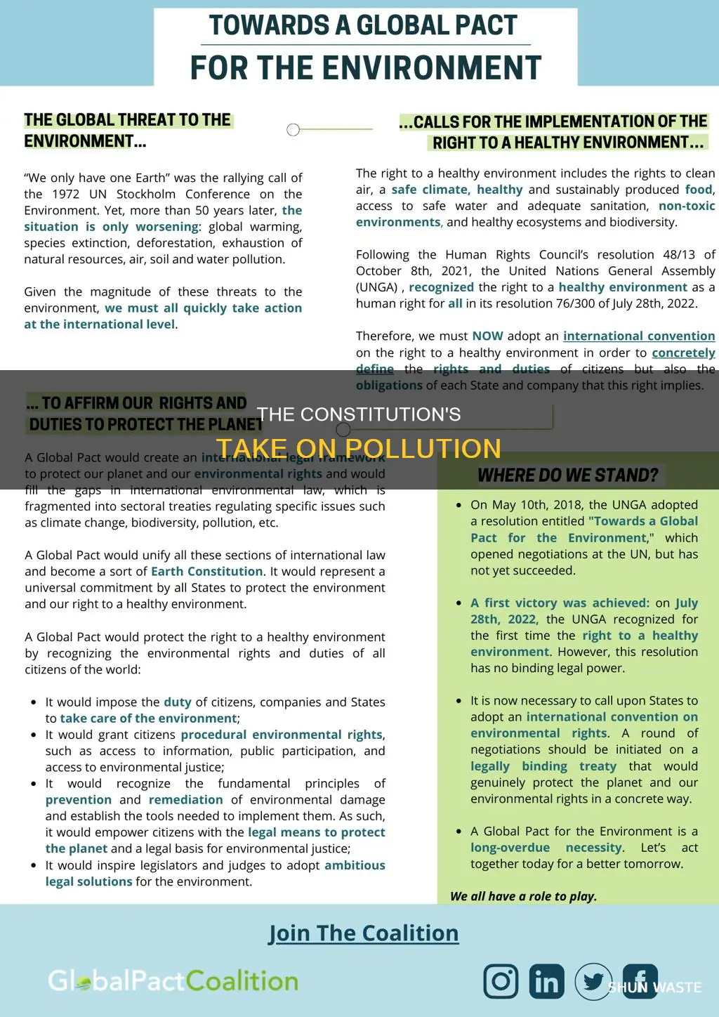 does the constituion address pollution