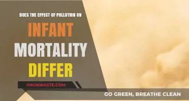 Pollution's Impact: Infant Mortality Disparity