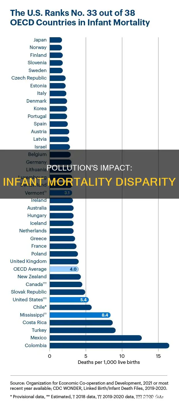 does the effect of pollution on infant mortality differ