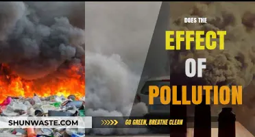 Pollution's Impact: A Health Hazard and Environmental Nightmare