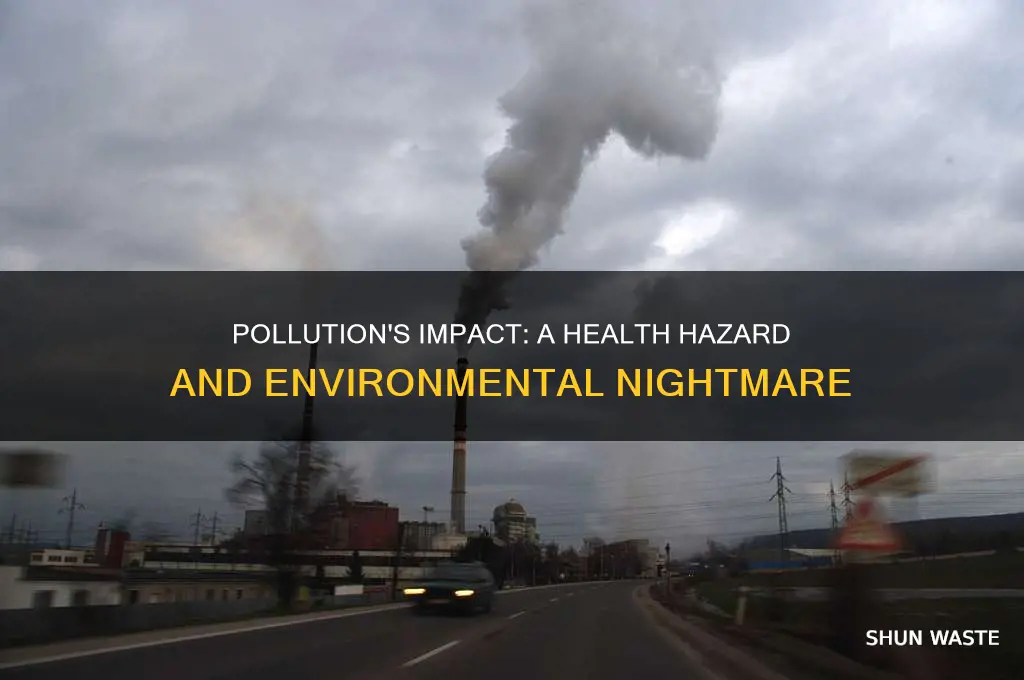 does the effect of pollution