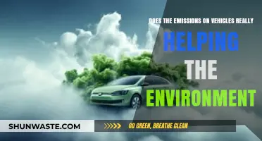 Are Vehicle Emissions Standards Truly Benefiting Our Environment?