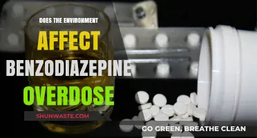 Environmental Factors and Benzodiazepine Overdose: Uncovering the Hidden Risks