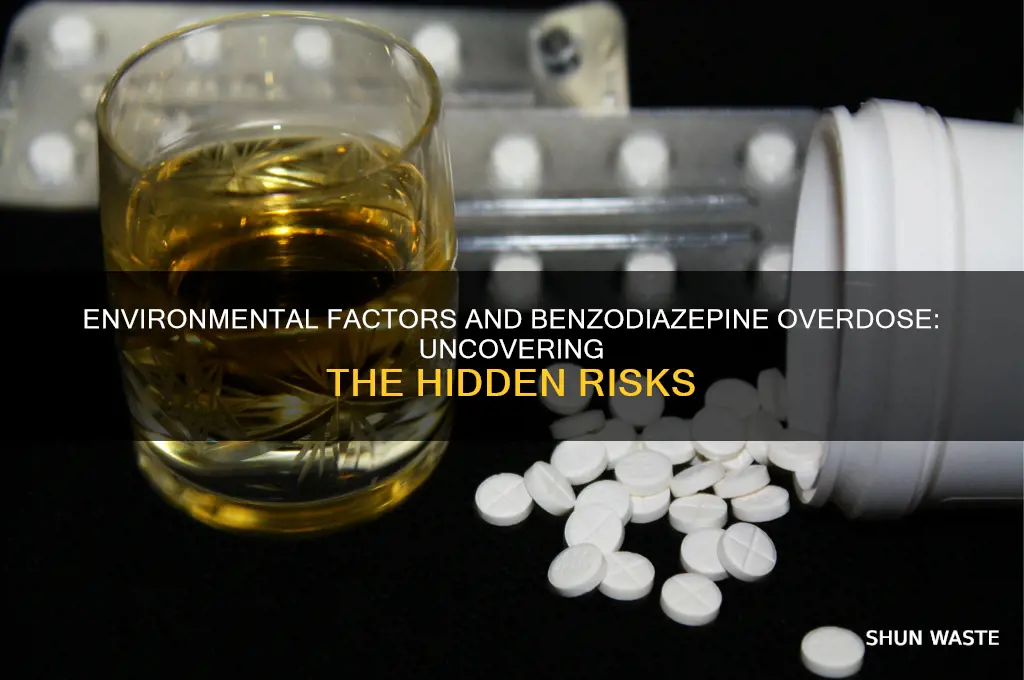 does the environment affect benzodiazepines overdose