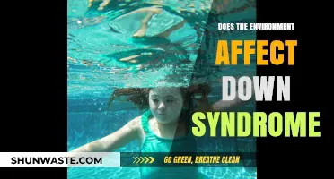 Environmental Factors and Their Impact on Down Syndrome: Exploring the Connection