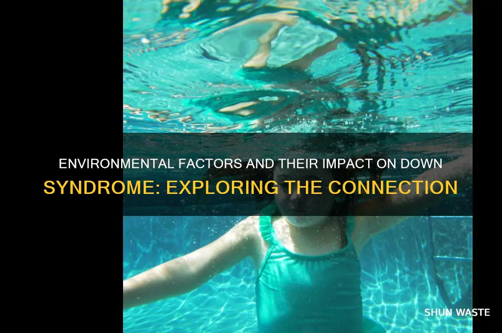 does the environment affect down syndrome
