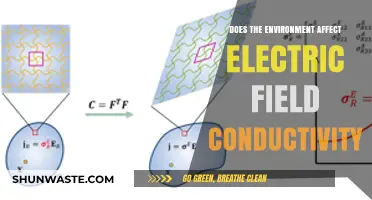 Environmental Factors and Their Impact on Electric Field Conductivity