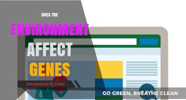 How Environmental Factors Influence Genetic Expression and Human Health
