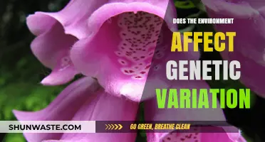 How Environmental Factors Shape Genetic Diversity: Unraveling Nature's Complex Interplay