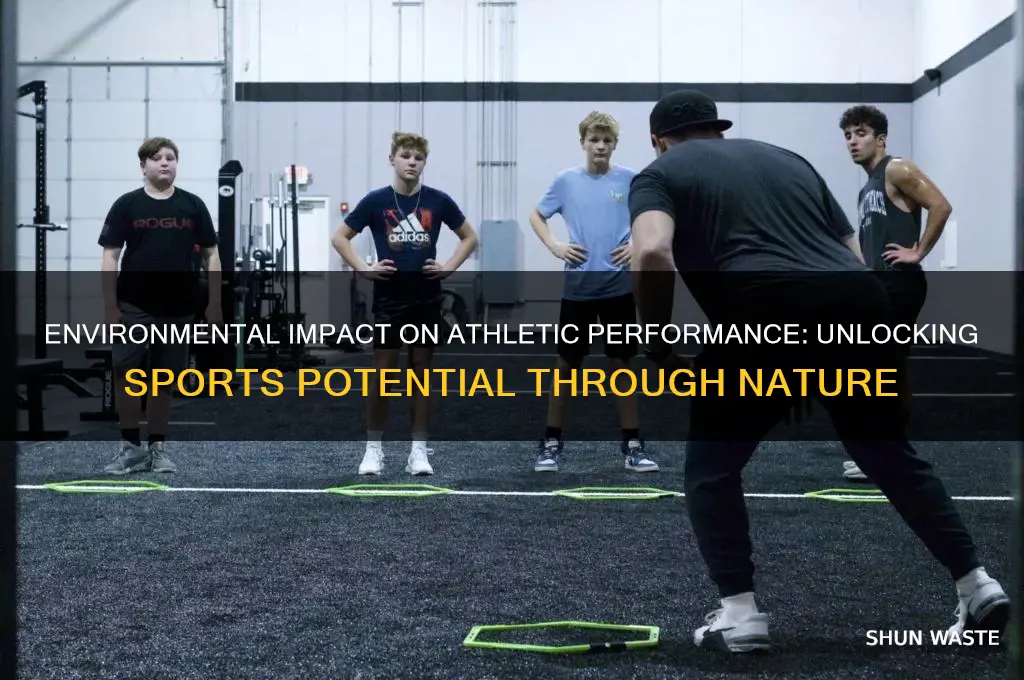does the environment affect how good you are at sports