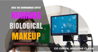 How Environmental Factors Shape Our Biological Makeup: Exploring the Connection