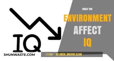 Environmental Factors and IQ: Unraveling the Complex Relationship