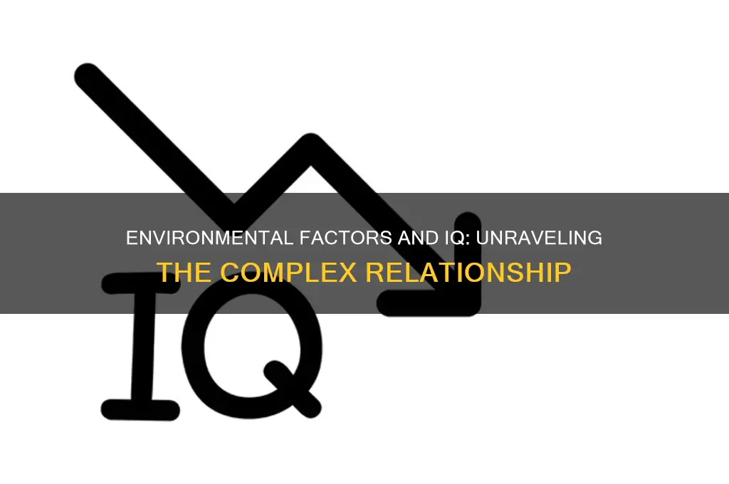 does the environment affect iq