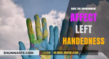 Environmental Factors and Their Impact on Left-Handedness: Unraveling the Mystery