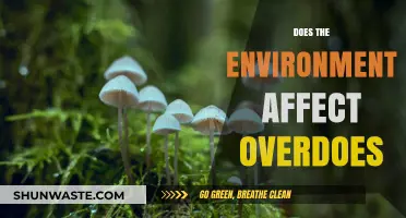 Environmental Factors and Their Impact on Overdose Risks Explored