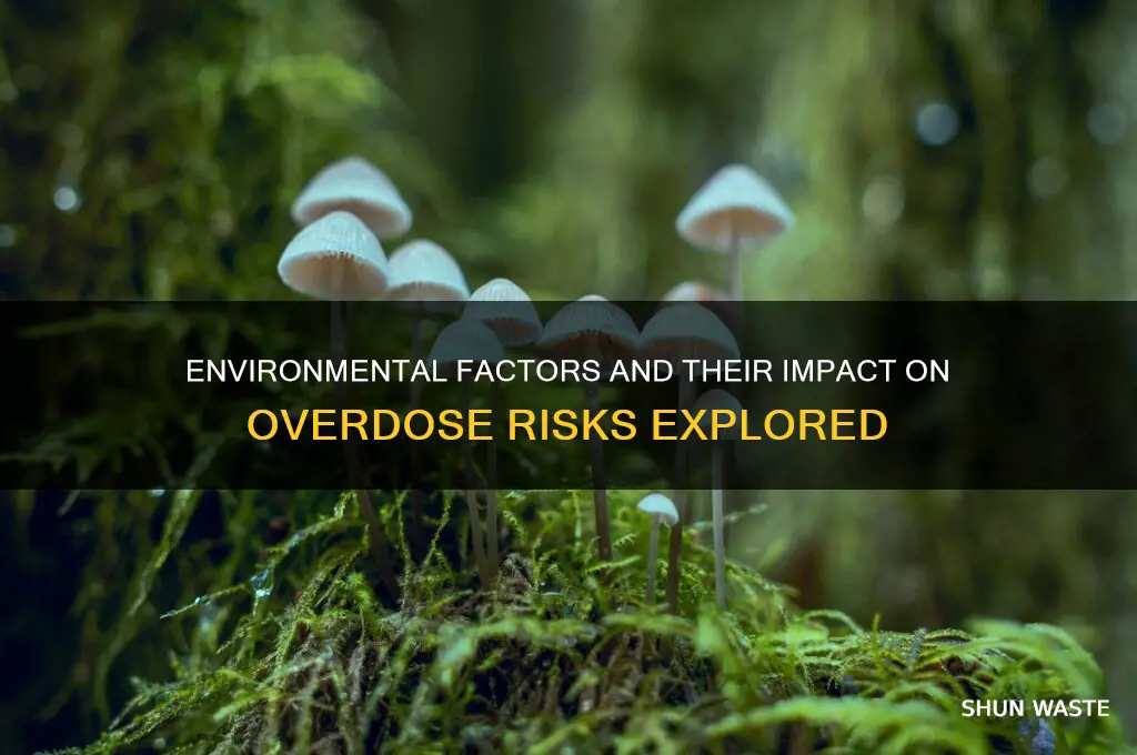 does the environment affect overdoes