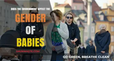 Environmental Factors and Baby Gender: Unraveling the Surprising Connection