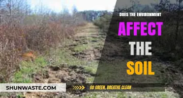 How Environmental Factors Shape Soil Health and Ecosystem Dynamics