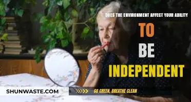 Environment's Impact: Shaping Independence and Personal Autonomy in Daily Life