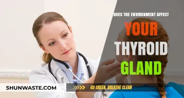 Environmental Factors and Their Impact on Thyroid Health Explained