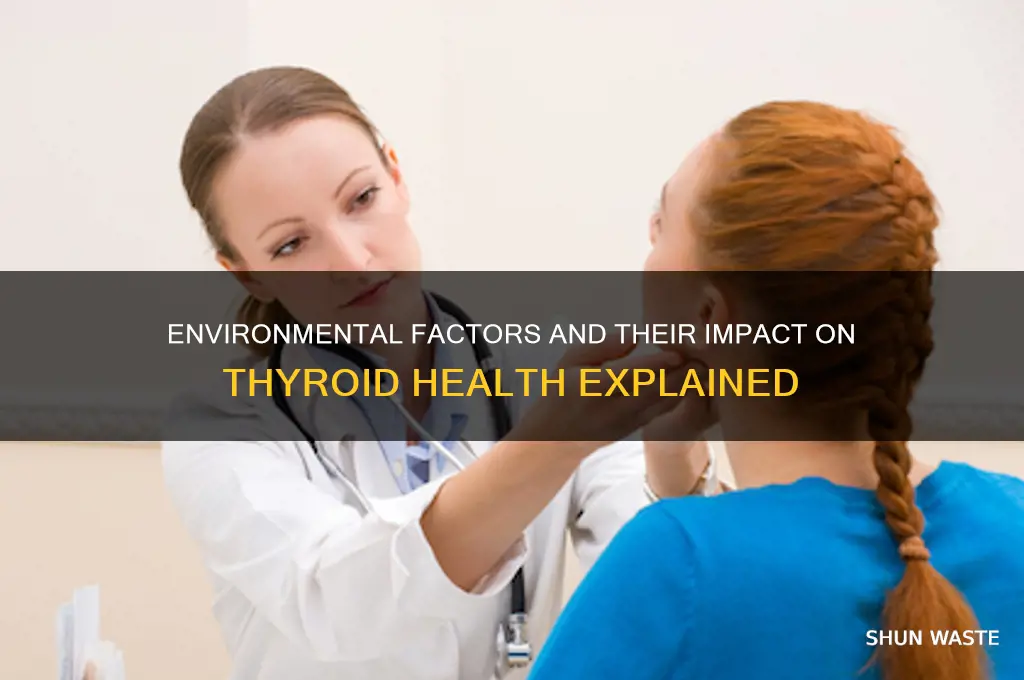 does the environment affect your thyroid gland