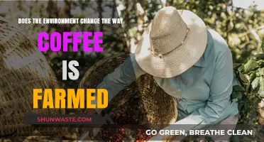 Environmental Impact: How Climate and Soil Transform Coffee Farming Practices