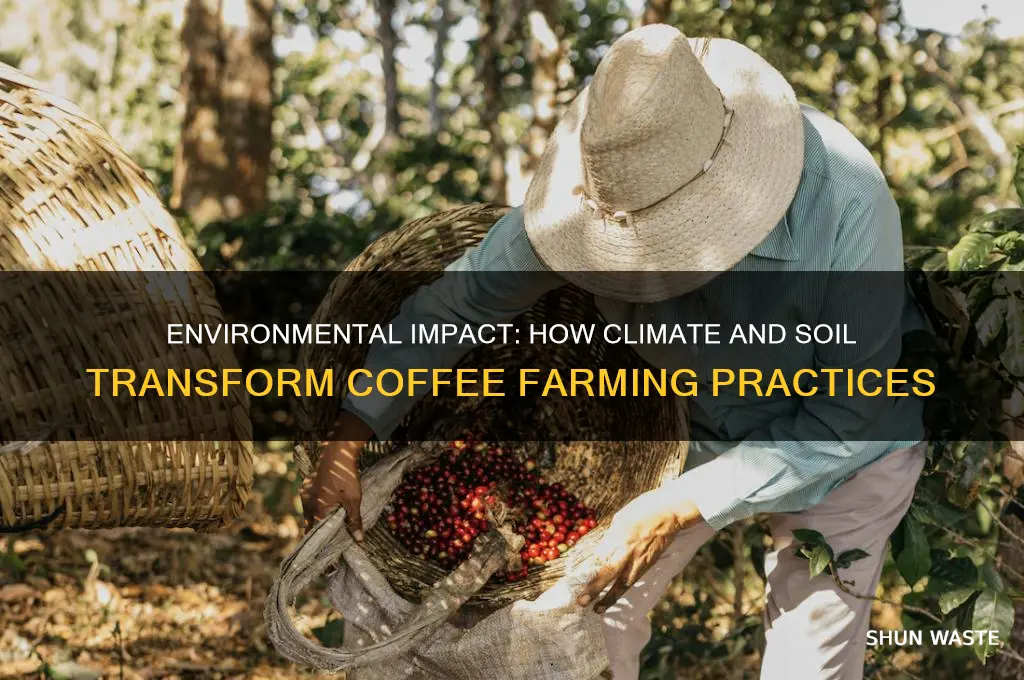 does the environment change the way coffee is farmed