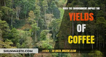 How Environmental Factors Influence Coffee Yields: A Comprehensive Analysis
