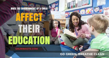 Childhood Environment: Shaping Education Outcomes and Future Success