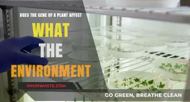 How Plant Genes Interact with Environmental Factors: Unraveling the Connection
