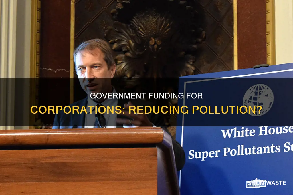 does the government fund corporations that reduce pollution