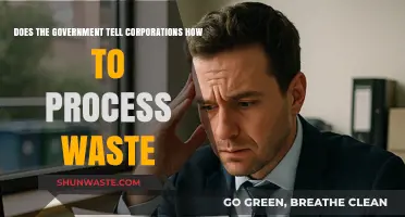 Government Regulations: Do They Dictate Corporate Waste Processing Methods?